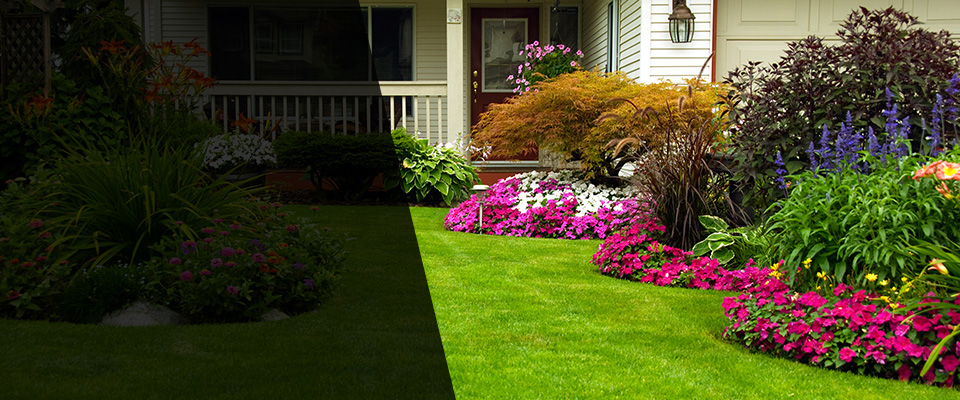 Gloucester Landscapers
